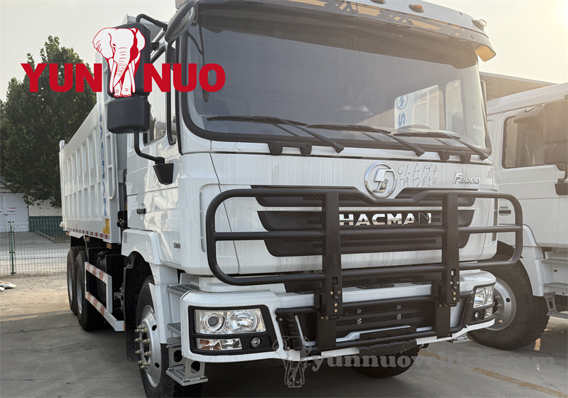 A Chadian customer comes to purchase a SHACMAN tipper truck